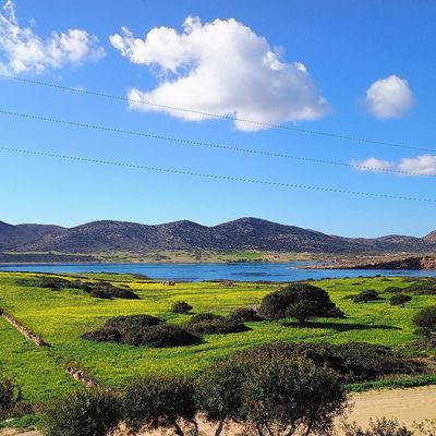 Αντιπαριώτικα νέα